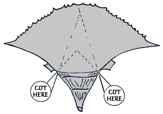 Diagram of shedder top w/o shell