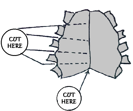 Diagram of shedder body, cut