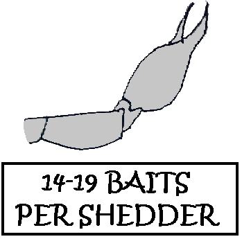Diagram of shedder, claw