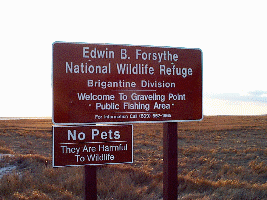 Forsythe Wildlife Refuge Public Fishing Area = Graveling Point access