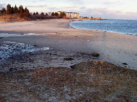 View back along Mystic Beach w/ creek in foreground