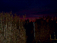 Sunrise Behind Scott's Bait & Tackle