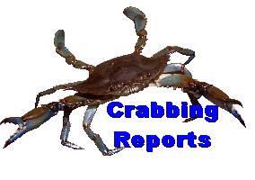 Crabbing Reports