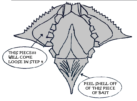 Diagram of shedder underside cut
