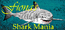 Fionas Shark Mania
