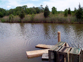The lagoon behind the store